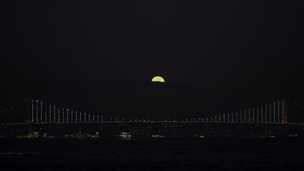 Similar image 22559060
