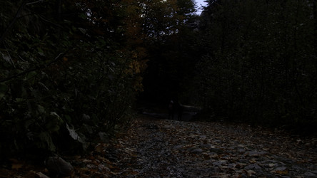 Similar image 22563057