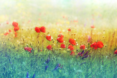 Similar image 22560350