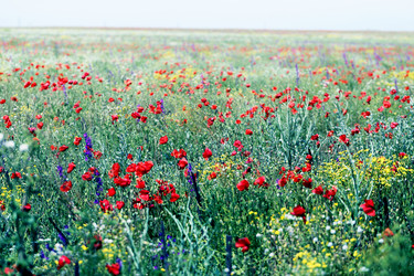 Similar image 22560351