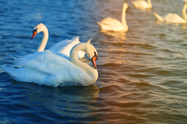 Similar image 22560352