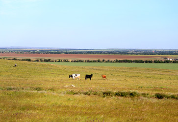 Similar image 22560353