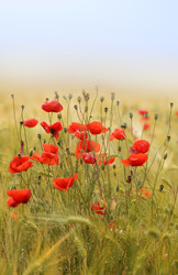 Similar image 22560355