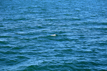 Similar image 22560356