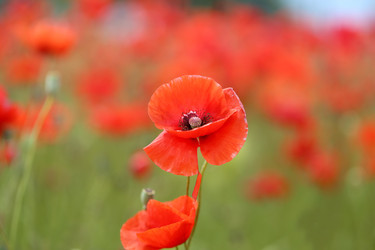 Similar image 22560357