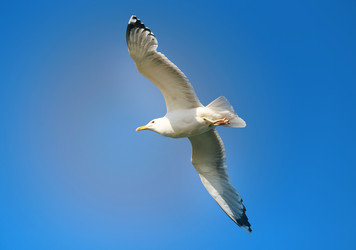 Similar image 22560358