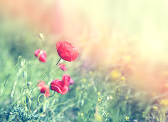 Similar image 22560359