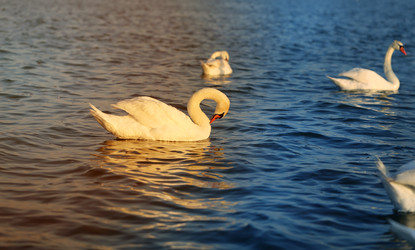 Similar image 22560360