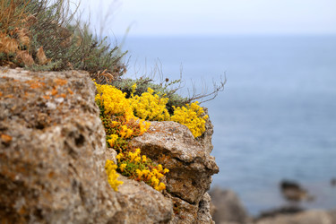 Similar image 22560364