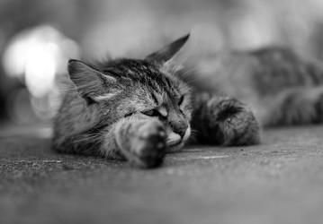 Similar image 22560367