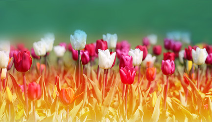 Similar image 22560369