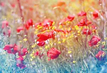 Similar image 22560370