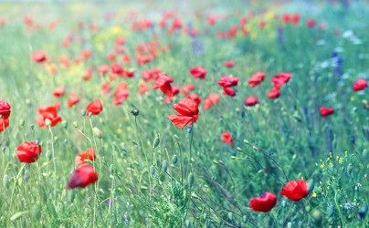 Similar image 22560379