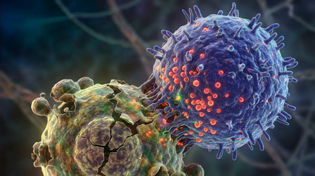 Similar image 22562478