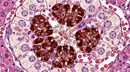 Similar image 22562480