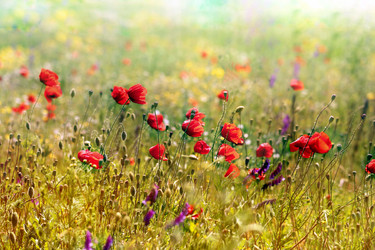 Similar image 22560385