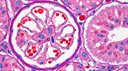 Similar image 22562481