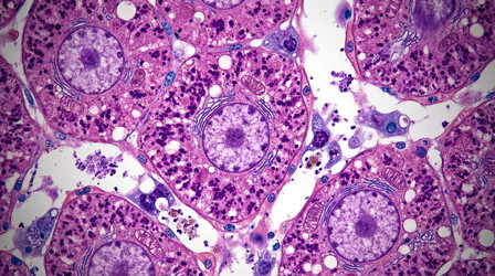 Similar image 22562482