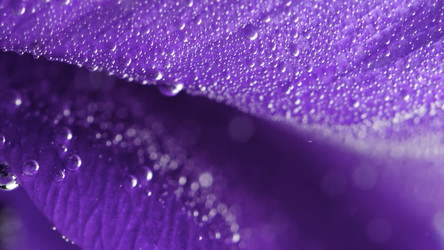 Similar image 22567017