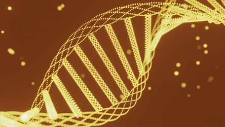 Similar image 22570008