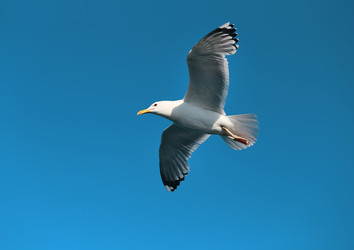 Similar image 22560393