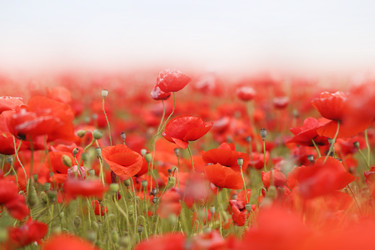 Similar image 22560394