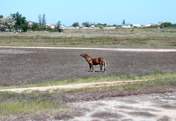 Similar image 22560396