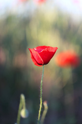 Similar image 22560397