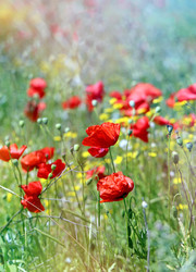 Similar image 22560399