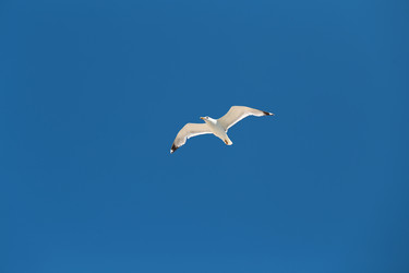 Similar image 22560400