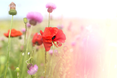 Similar image 22560404