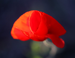 Similar image 22560405