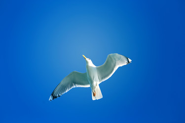 Similar image 22560416