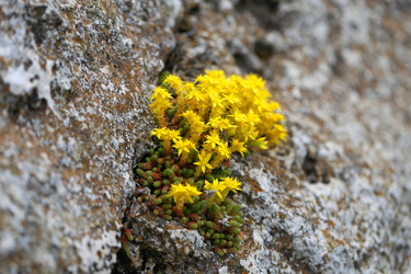 Similar image 22560424