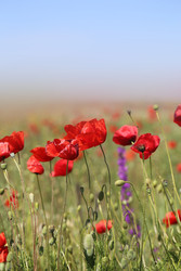 Similar image 22560425