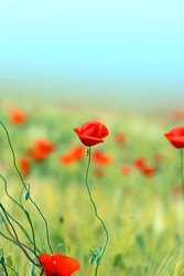 Similar image 22560427