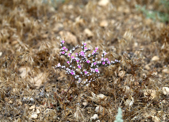 Similar image 22560430