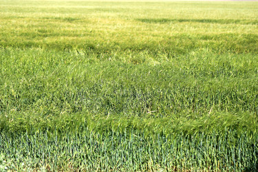 Similar image 22560436