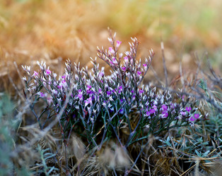 Similar image 22560440