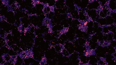 Similar image 22565130