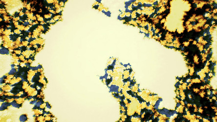 Similar image 22566063