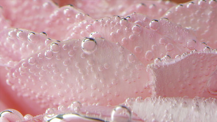 Similar image 22571482