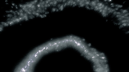 Similar image 22572454