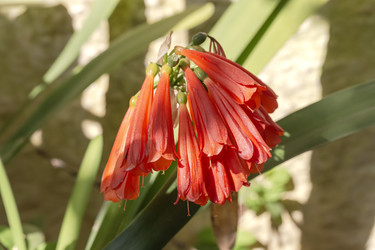 Similar image 22580161