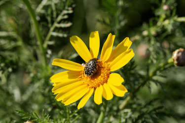 Similar image 22580162