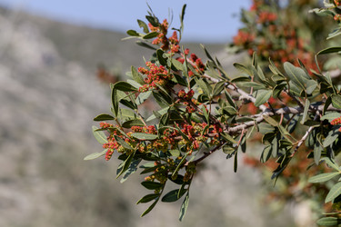 Similar image 22580163