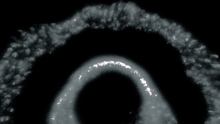 Similar image 22575831