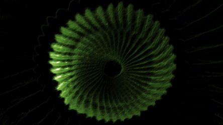 Similar image 22568972