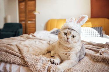 Similar image 22591557