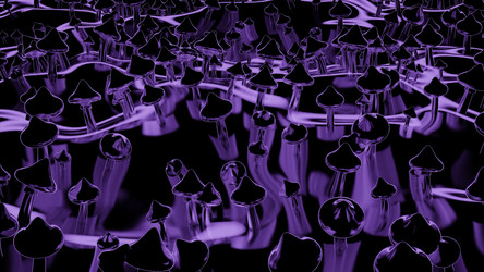 Similar image 22569948